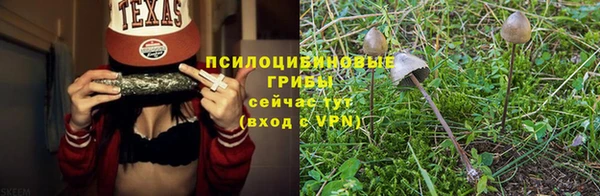 прущий лед Арсеньев