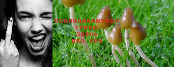 марки nbome Балахна