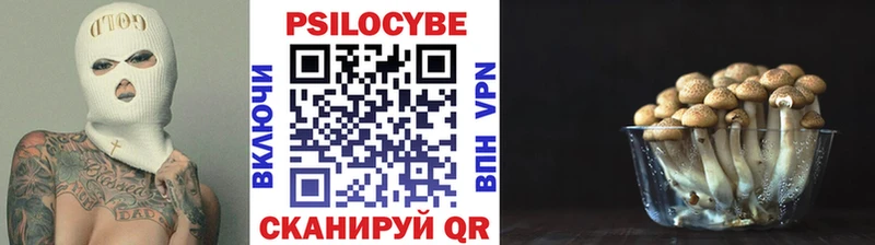 OMG зеркало дарнет шоп Будённовск Галлюциногенные грибы GOLDEN TEACHER