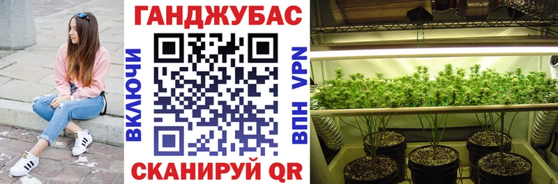 Бошки Шишки White Widow  что такое   Будённовск 